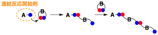 連結反応開始剤を用いた精密高分子合成の模式図の画像