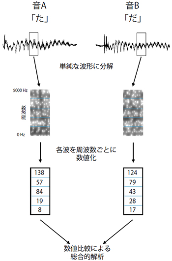 本研究で用いた音声認識アルゴリズムの概念図の画像