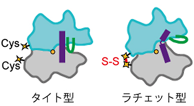 CPX法の原理の図