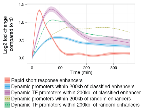 Smoothed mean expression over time of all enhancers