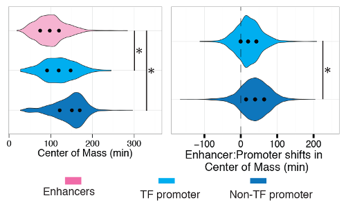 Figure comparing enhancers, TF promoters, and non-TF promoters