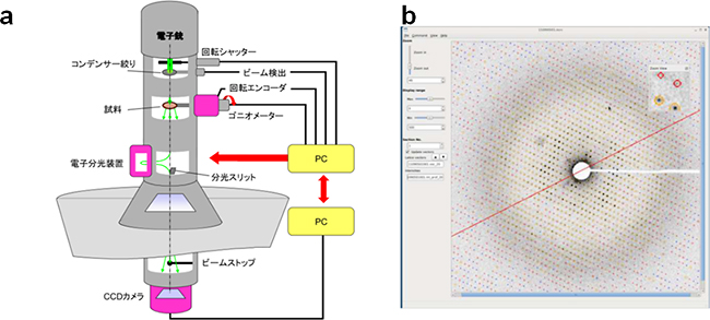 開発した電子線回折計の模式図(a)と回折パターン処理ソフトで表示した回折パターンの一部(b)の図