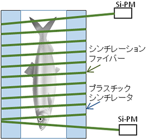 LANFOSのプラスチックシンチレータの図