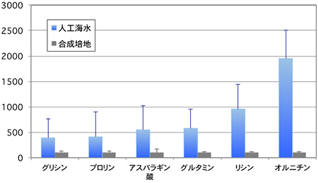 人工海水培地および合成培地における細胞内アミノ酸量の比較図