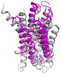 アディポネクチン受容体とGPCRの立体構造比較の図