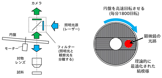 スピニングディスク超解像顕微鏡の模式図の画像