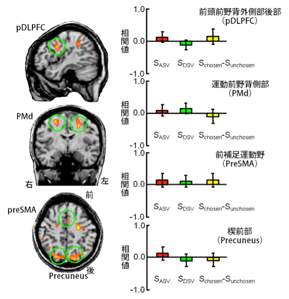 具体手決定課題で活動する脳ネットワークの図