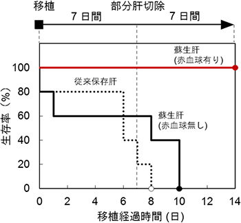 蘇生肝臓の移植による生存率の解析図