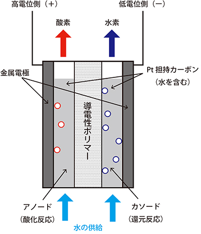 電気化学セルの構造の模式図の画像