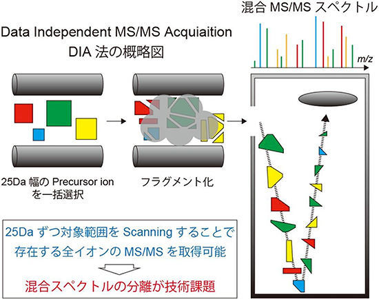 Data Independent Acquisition（DIA）法の模式図の画像