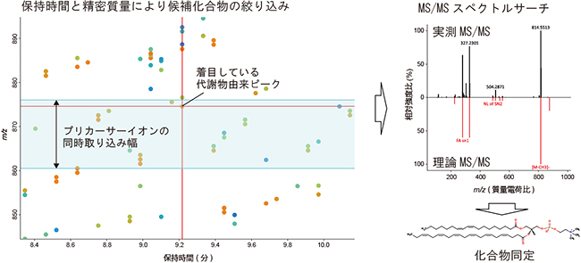 MS-DIALにおける化合物同定の流れの図