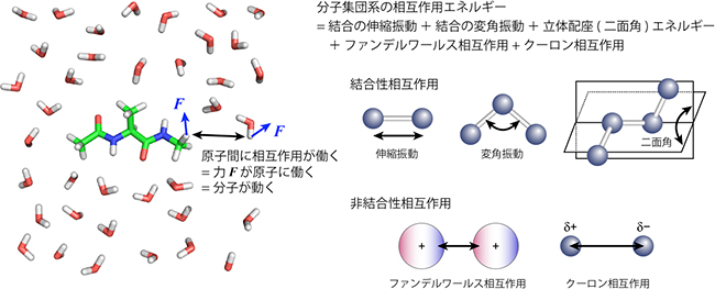 分子集団系の原子間相互作用の図