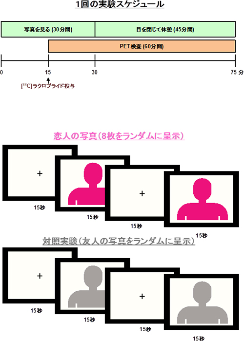 実験の概要の図