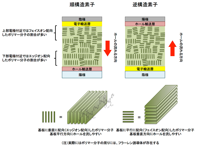 PNTz4Tを発電層として用いたOPV素子の模式図の画像