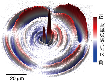鉄ガーネット薄膜中に発生した球面波状の磁気弾性波の図