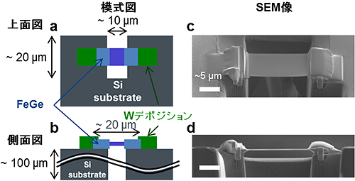 FeGeを用いた異方的な応力によるスキルミオンの構造変化の観察の図