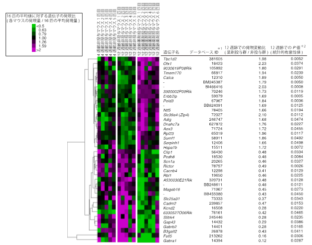 12週齢の薬剤投与と非投与マウス間で統計的有意差が見られた遺伝子の図
