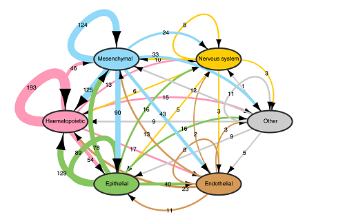 Schematic of network