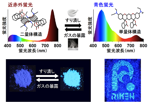 すり潰しとガスの暴露による蛍光波長の変化の図