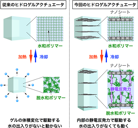 ヒドロゲルアクチュエータの動作原理の図