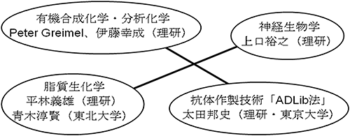 神経回路構築における脂質の働きを検証するための異分野共同研究グループの図 有機合成化学・分析科学 Peter Greimei、伊藤幸成（理研）と抗体作製技術「ADLib法」太田邦史（理研・東京大学）。神経生物学 上口裕之（理研）と脂質生科学 平林義夫（理研）、青木淳賢（東北大学）。