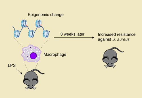 Schematic of the experiment