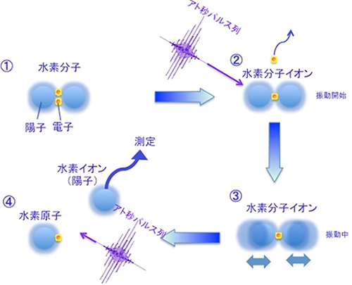 実験の模式図の画像