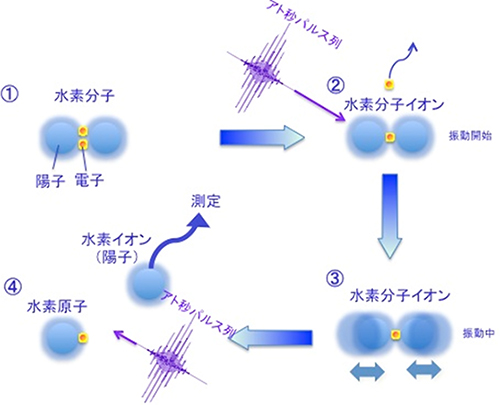 実験の模式図の画像