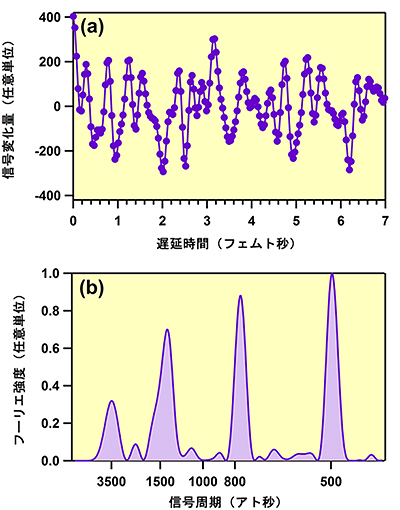 アト秒電子波束の直接観測図