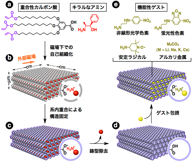 らせん空孔が大面積で完全に配向した有機ゼオライトの合成と利用の図