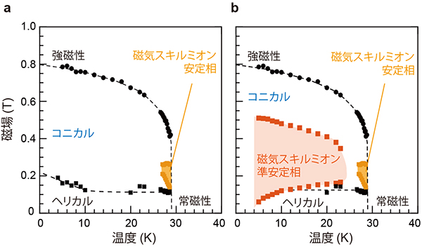 マンガンシリコン（MnSi）の磁気相図の画像