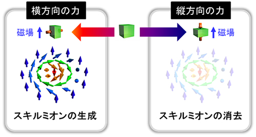 スキルミオンの力学的な生成と消去の概念図の画像