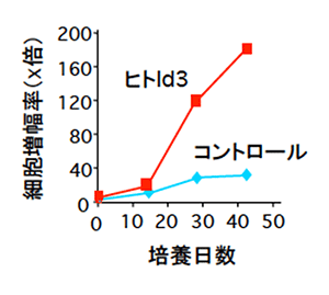 Id3導入によるヒト多能造血前駆細胞の増幅の図