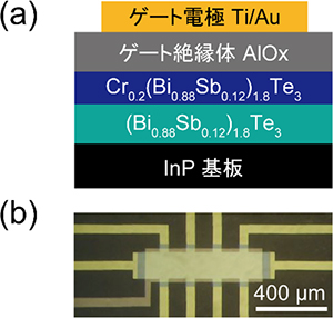 トポロジカル絶縁体積層薄膜と電界効果型トランジスタ構造図