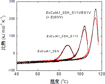 EcCutA1_0SHとその疎水性変異型の熱変性反応の可逆性の図
