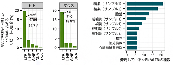 がんで発現が上昇するLTRと、正常組織におけるLTRの発現箇所の図