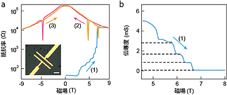 Nd2Ir2O7における微細電極間の抵抗の磁場依存性の図