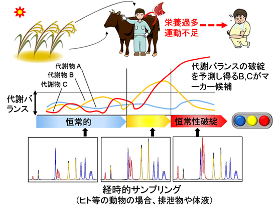 代謝バランスの破綻を検出する方法の図