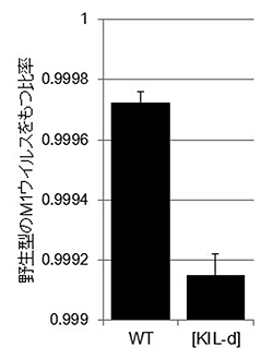 [KIL-d]酵母はM1 RNAウイルスゲノムの変異を促進の図