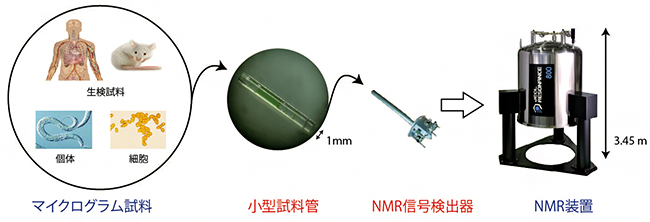 開発したNMR装置を用いたマイクログラム試料の高分解能メタボローム解析の図