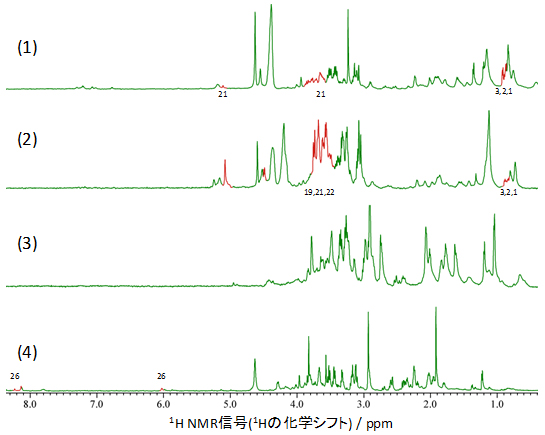 開発したNMR装置で測定した微量生体試料の図