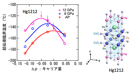水銀系超伝導銅酸化物Hg1212の超伝導臨界温度のキャリア量による変化と結晶構造の図