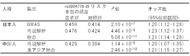 AISの段階的相関解析で発見された9番染色体上のSNP（rs3904778）の相関の表