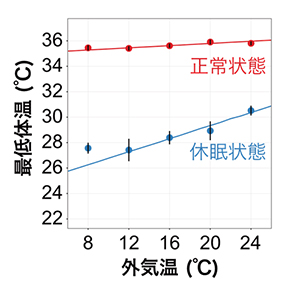 外気温と体温の関係の図