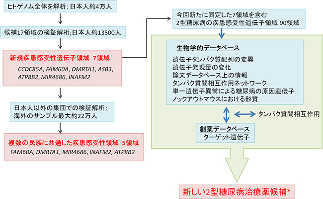 本研究の概要の図