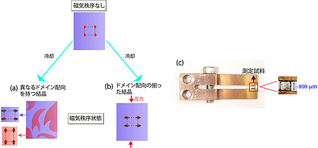 ドメイン配向の制御の図