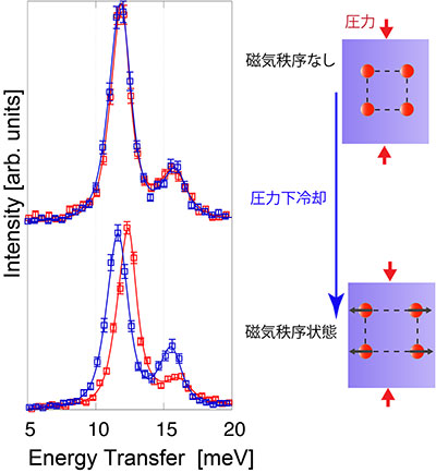 磁気秩序状態におけるフォノンのピークの分裂の図