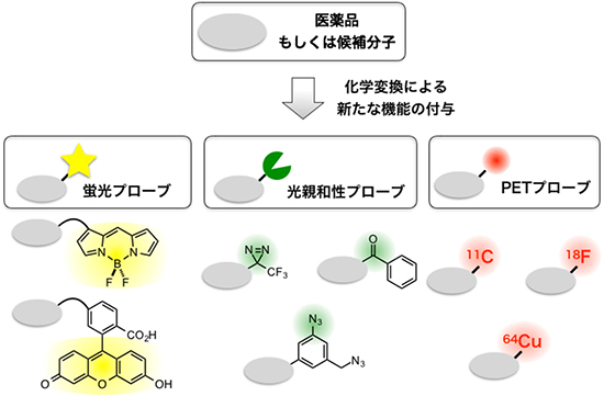 分子プローブの例の図