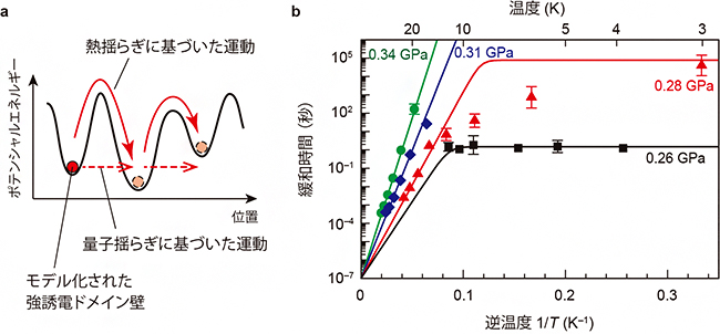 強誘電ドメイン壁の運動の検出の図