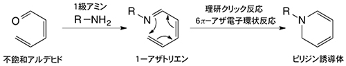 理研クリック反応（6π-アザ電子環状反応）の図